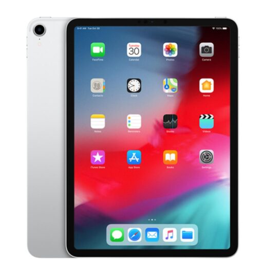 iPad Pro 11" 1st Gen 2018-2020 256GB Wifi + Cellular Argento - Ricondizionato