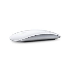 Magic Mouse 2  Bulk - Nuovo