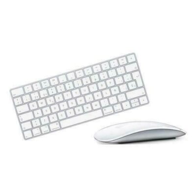 Kit Magic Keyboard e Magic Mouse (Usato - colori misti) - Ricondizionato   - Ottimo